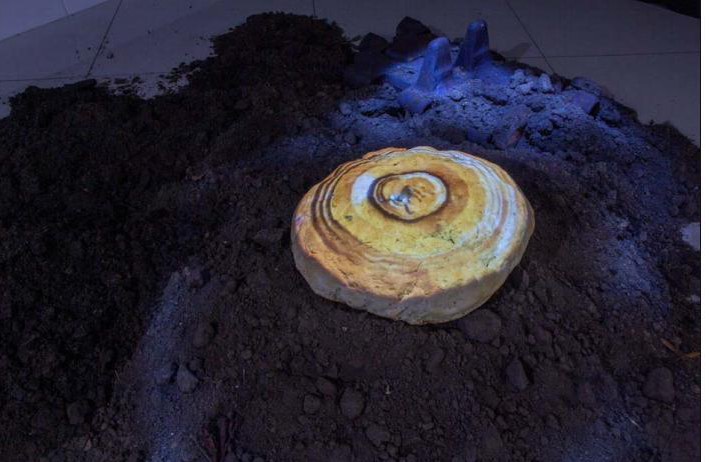 A round loaf of bread with a projected pattern, lying in dark soil.