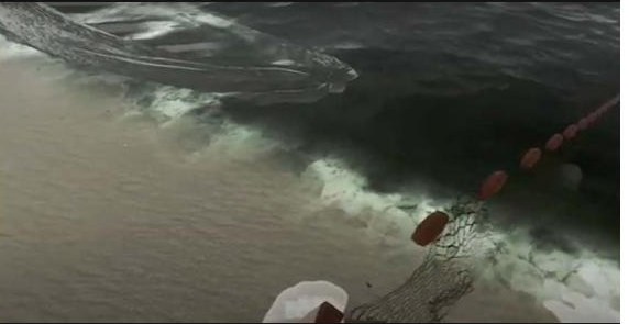 Still from Washed Ashore.
